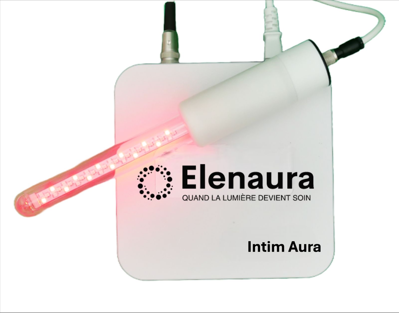 Module de diagnostic automobile